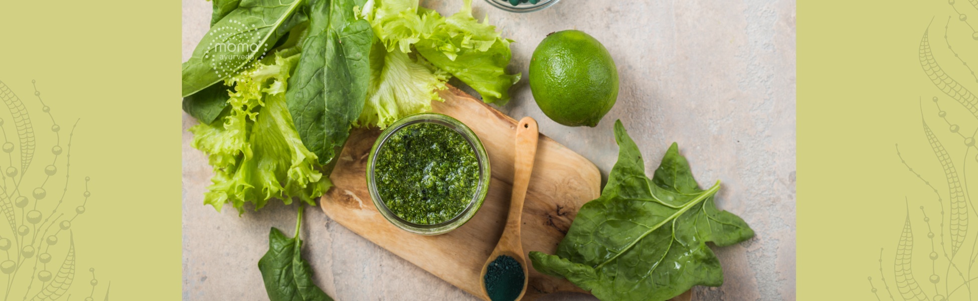 SPIRULINA ODKWASZA ORGANIZM I OCZYSZCZA Z TOKSYN