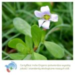 Brahmi wykorzystywana w produktach Aurospirul oraz certyfikat India Organic