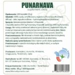 Punarnava 100 kapsułek