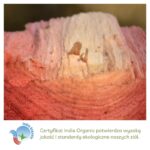 Arjuna wykorzystywana w produktach Aurospirul oraz certyfikat India Organic