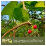 Guduchi Aurospirul oraz certyfikat Fair Trade