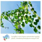Guduchi wykorzystywana w produktach Aurospirul oraz certyfikat India Organic