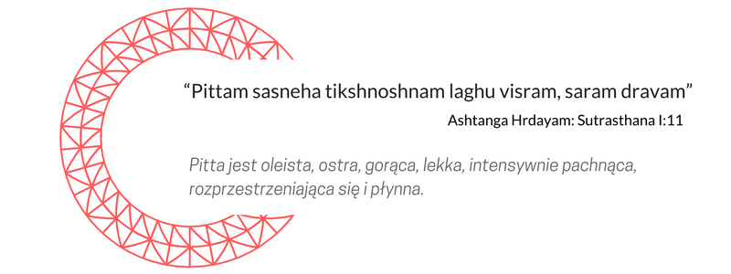 Pitta wstęp