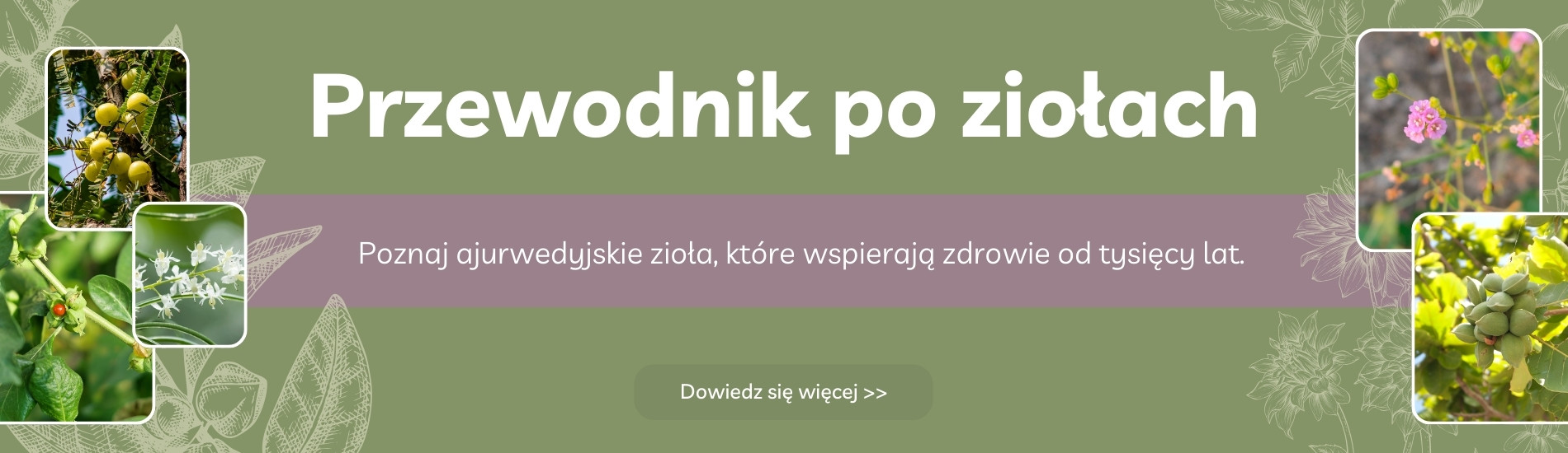 Przewodnik 2 (1)